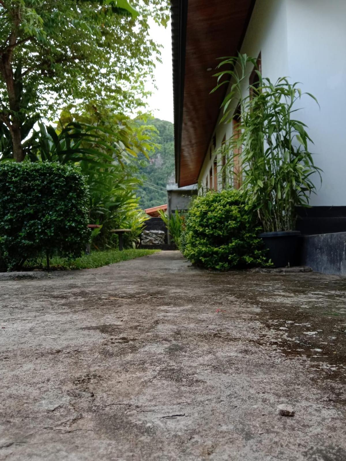Meexok Guesthouse Nongkhiaw Exterior foto